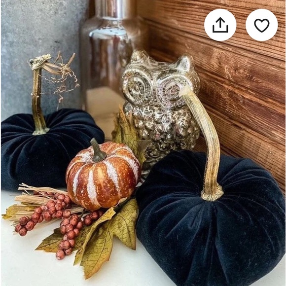 Pumpkin Velvet Decoration color black Weighted(0.11.3oz) 8"x 8” New without tag - Picture 5 of 15
